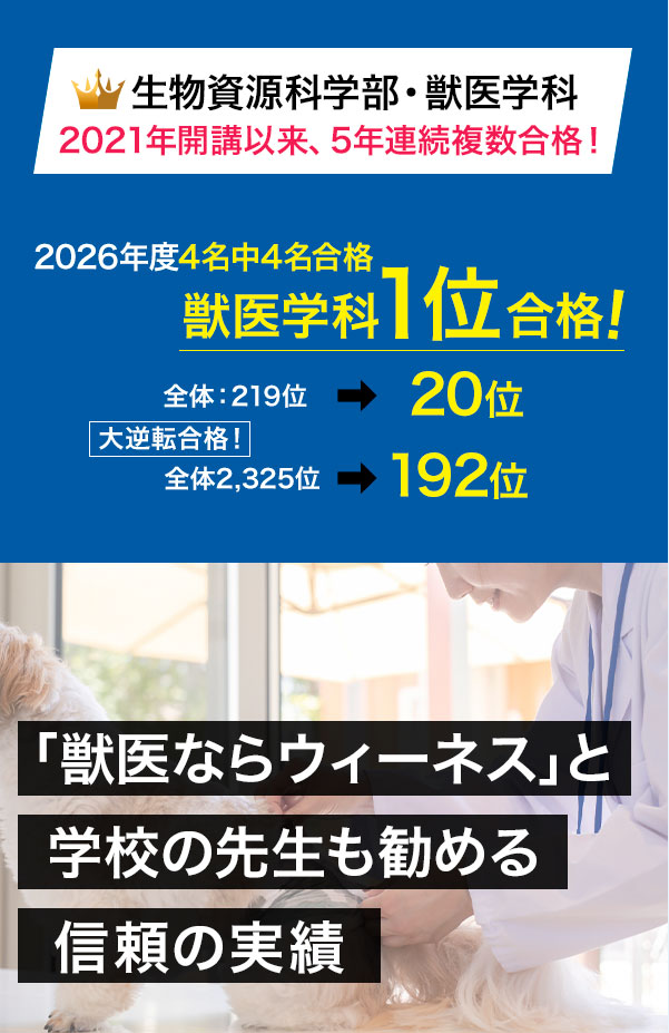 5年連続複数合格
