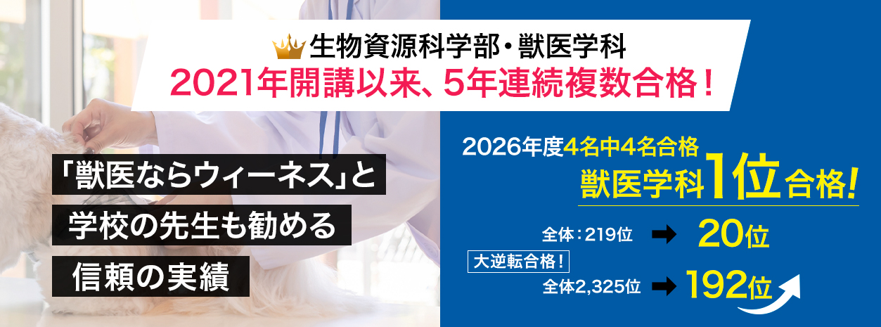 5年連続複数合格