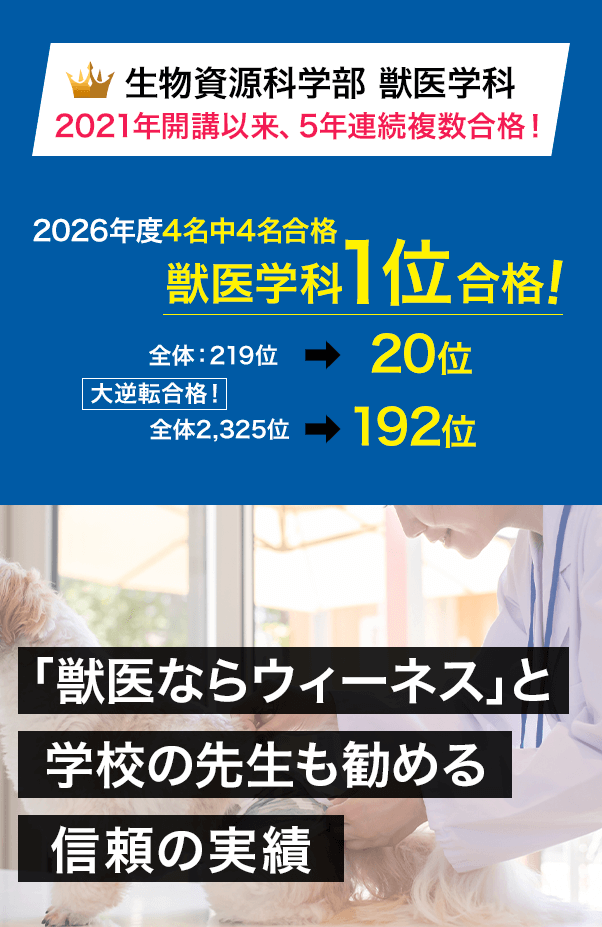 5年連続複数合格